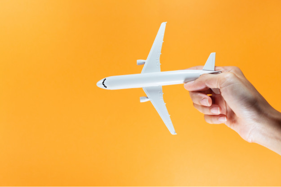 this orange airplane illustrates "ipr and information security"